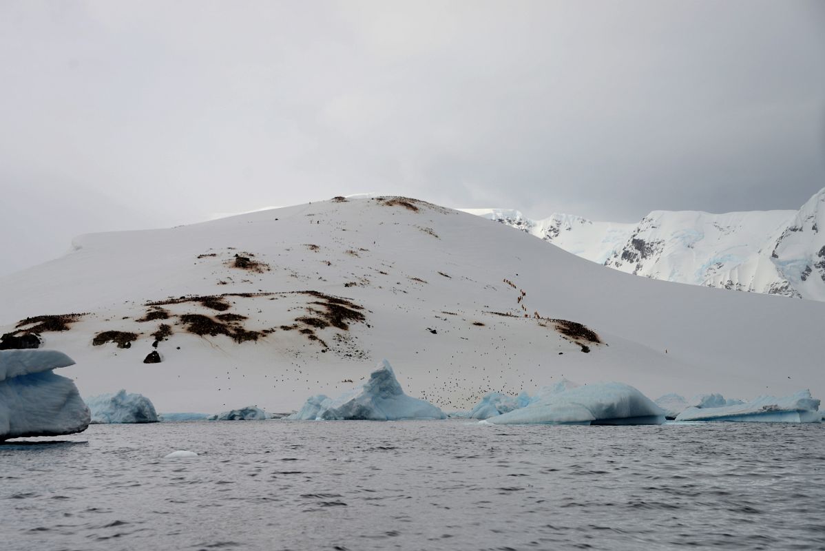 09B Penguin Colonies And Tourists On Danco Island From Zodiac On Quark Expeditions Antarctica Cruise